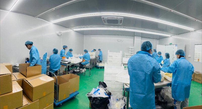 营口镁砂:未来建材行业的潜力股?
